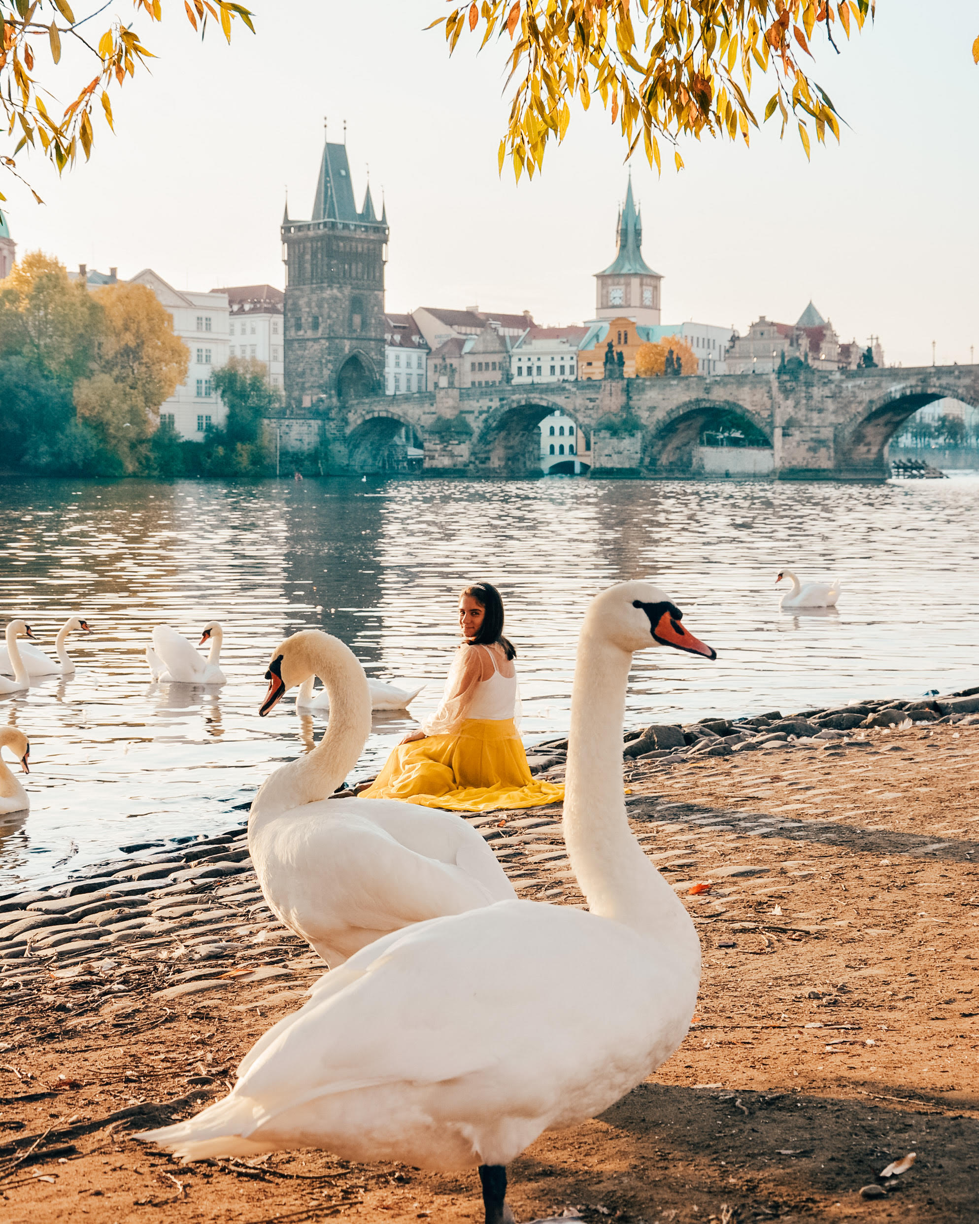Overpacked Suitcase Prague | Swan Princess